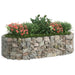 Gabion Raised Bed Galvanised Iron 200x100x50 Cm Opxbab
