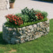 Gabion Raised Bed Galvanised Iron 200x100x50 Cm Opxbab