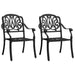 Garden Chairs 2 Pcs Cast Aluminium Black Toppln