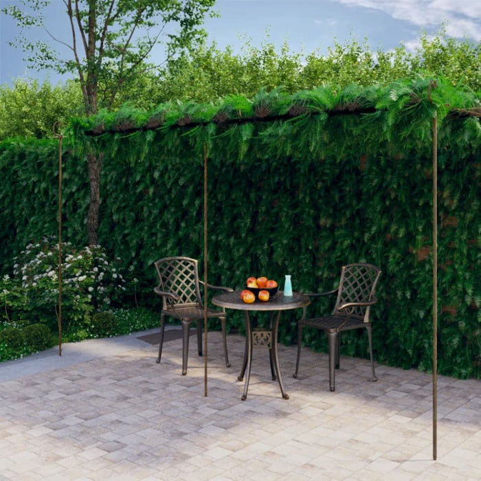 Garden Pergola Antique Brown 6x3x2.5 m Iron Totkkk