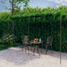 Garden Pergola Antique Brown 6x3x2.5 m Iron Totkkk