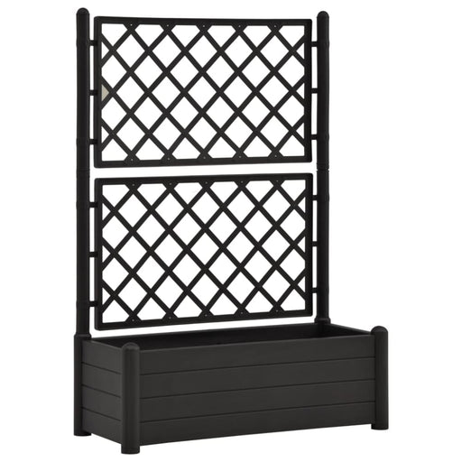 Garden Planter with Trellis 100x43x142 Cm Pp Anthracite