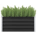 Garden Raised Bed Anthracite 100x40x45 Cm Galvanised Steel