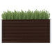 Garden Raised Bed Brown 160x40x77 Cm Galvanised Steel Apioi