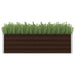 Garden Raised Bed Brown 160x40x45 Cm Galvanised Steel Apion