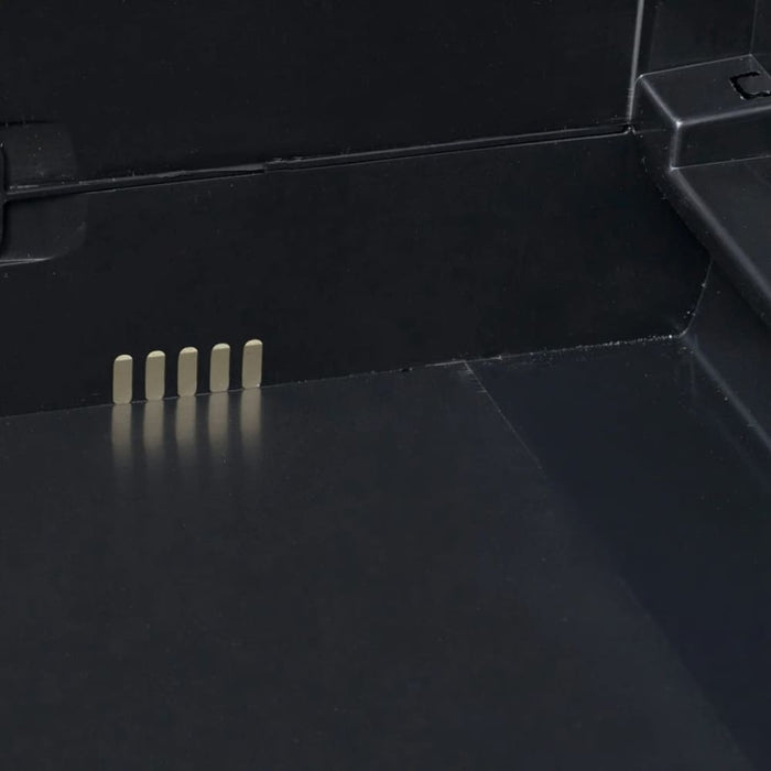 Garden Storage Cabinet with 2 Shelves Black Atiba