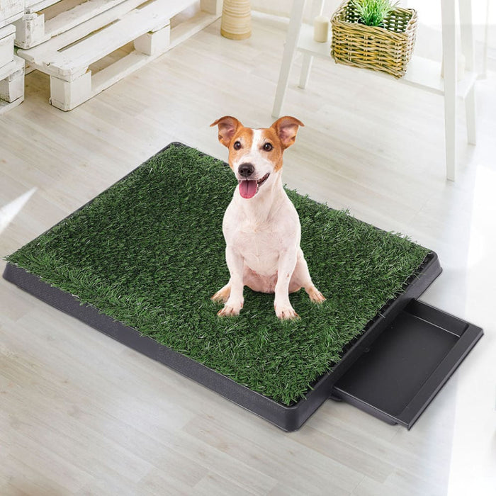 Goslash Picks Grass Potty Dog Pad Training Pet Puppy Indoor