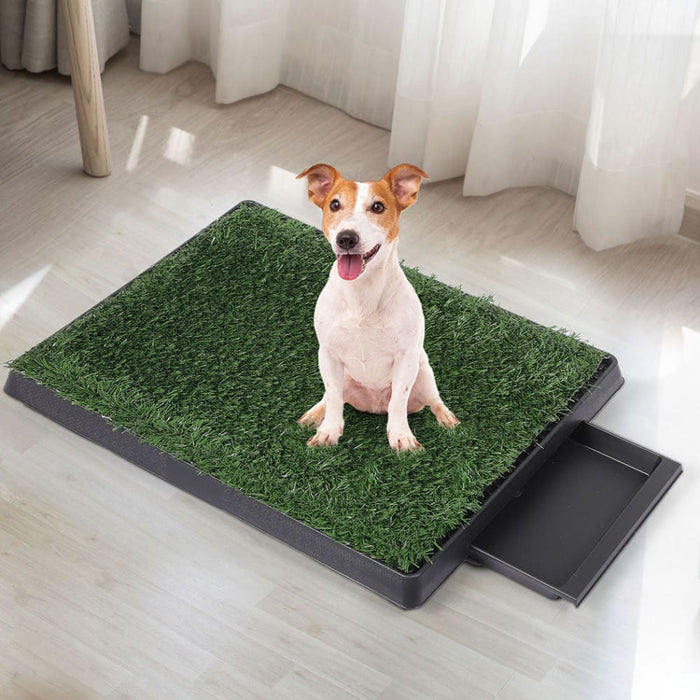 Goslash Picks Grass Potty Dog Pad Training Pet Puppy Indoor