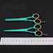 Japanese Thinning Stainless Steel Hairdressing Scissors 5.5