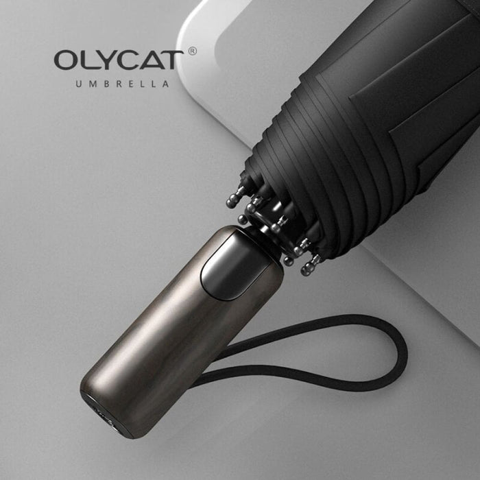 Luxury Automatic Umbrella with Plastic Handle