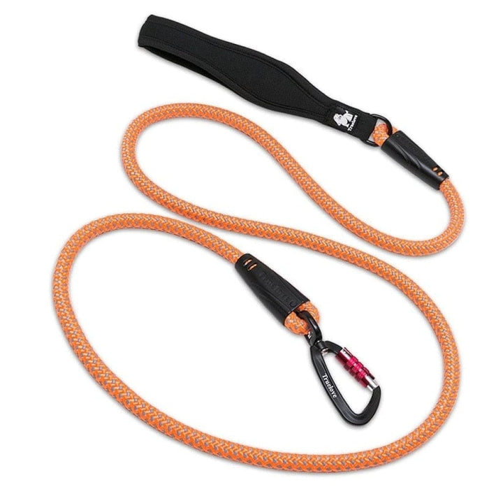 Nylon Leash with Reflective Aluminum-alloy Hook