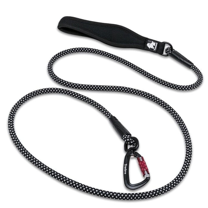 Nylon Leash with Reflective Aluminum-alloy Hook