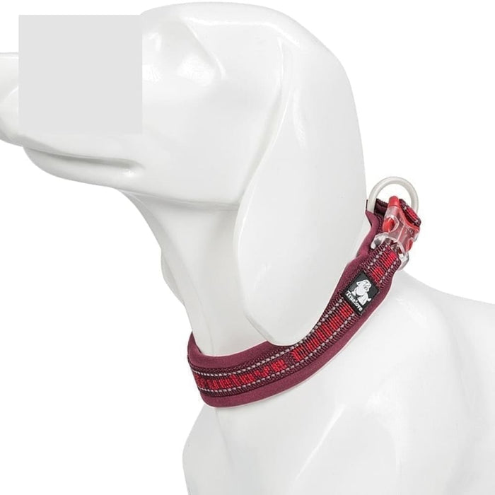 Nylon Reflective Collar with Duraflex Buckle