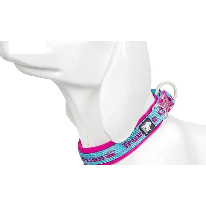 Nylon Reflective Collar with Duraflex Buckle
