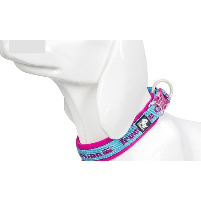 Nylon Reflective Collar with Duraflex Buckle