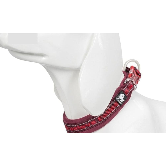 Nylon Reflective Collar with Duraflex Buckle