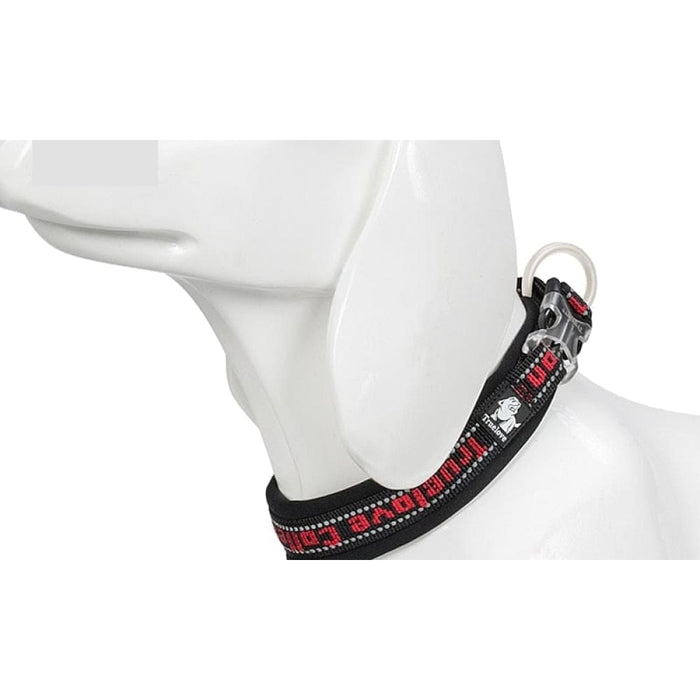 Nylon Reflective Collar with Duraflex Buckle