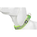 Nylon Reflective Collar with Duraflex Buckle