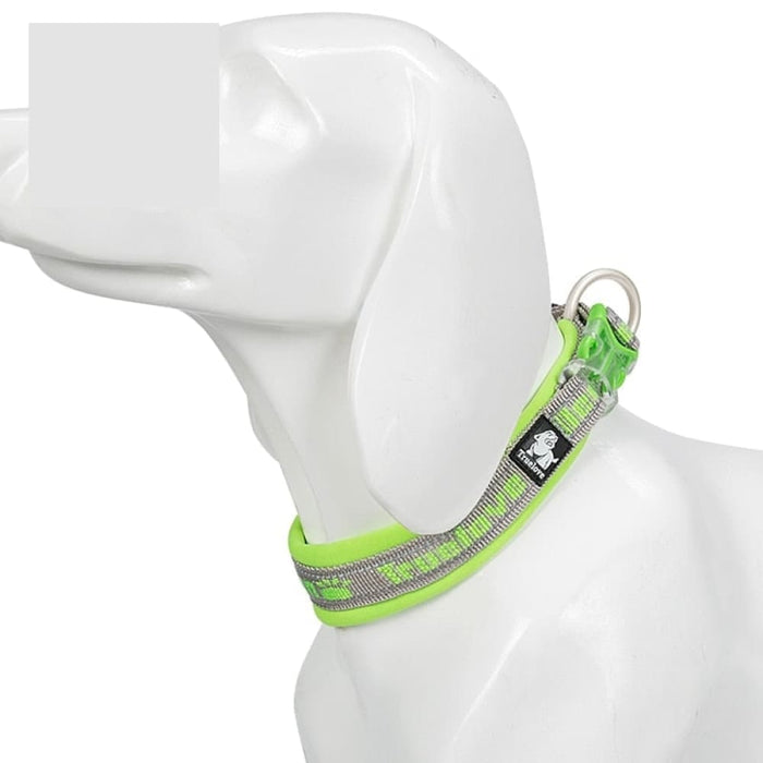 Nylon Reflective Collar with Duraflex Buckle