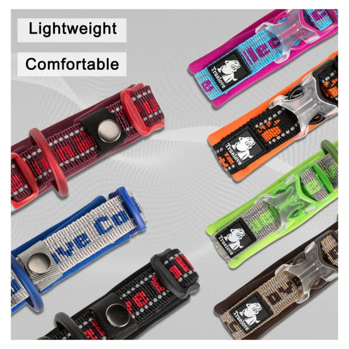 Nylon Reflective Collar with Duraflex Buckle