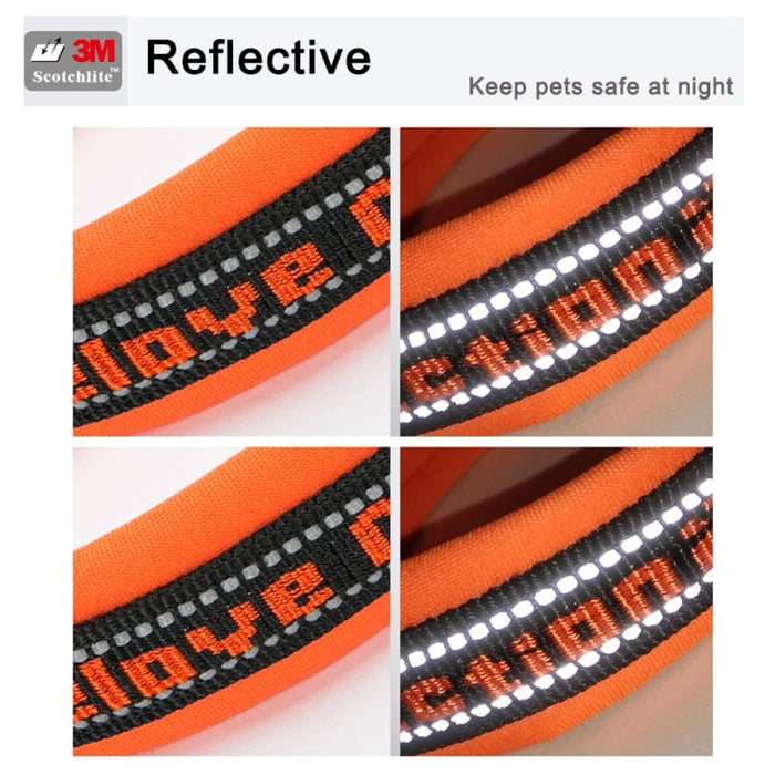 Nylon Reflective Collar with Duraflex Buckle