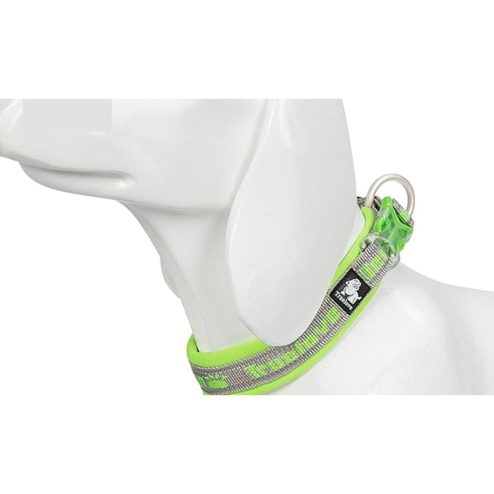 Nylon Reflective Collar with Duraflex Buckle