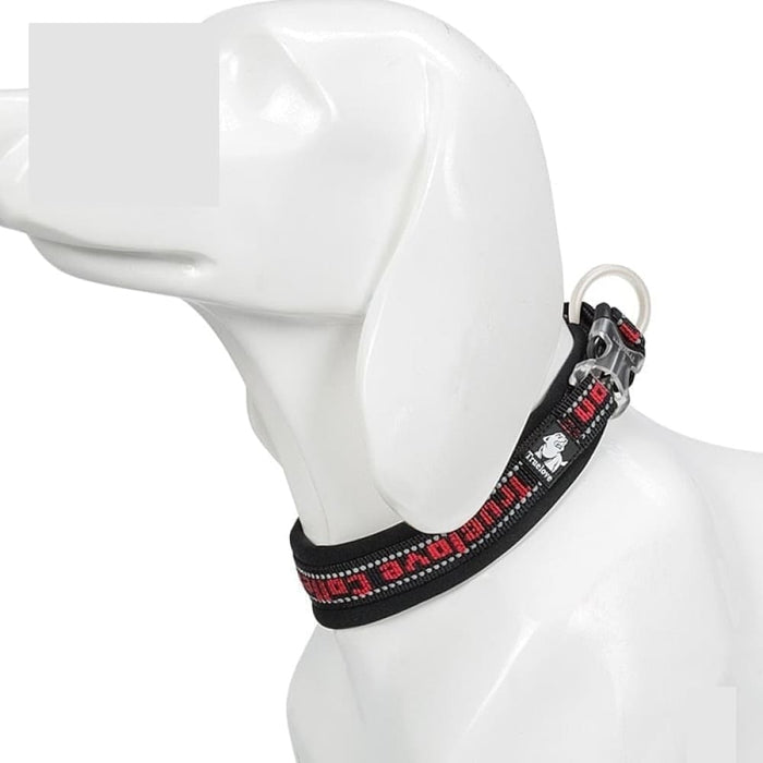 Nylon Reflective Collar with Duraflex Buckle