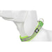 Nylon Reflective Collar with Duraflex Buckle