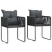 Outdoor Chairs 2 Pcs with Pillows Poly Rattan Black Aaatn