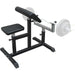Preacher Curl Bench Weights Commercial Bicep Arms