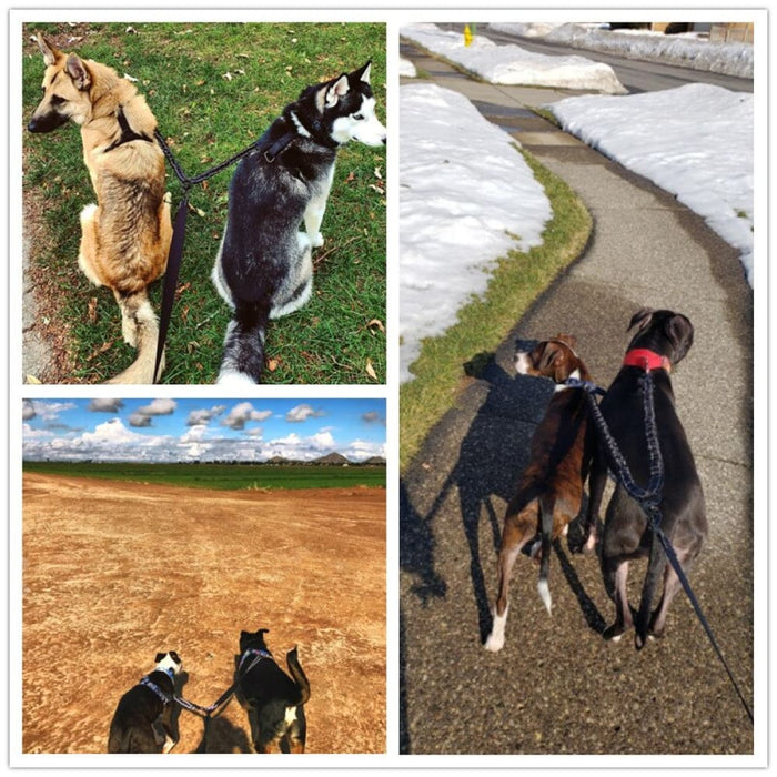 Premium Reflective Heavy Duty Padded Handle Double Dog Leash