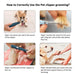 Professional Low Noise Usb Rechargeable Dog Grooming
