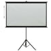 Projection Screen With Tripod 50’ 4:3 Poabx