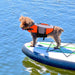 Reflective Adjustable High Visibility Lifejacket Boating