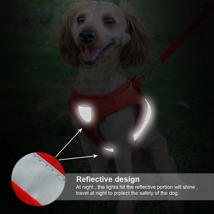 Reflective Breathable Escape Proof Pet Harness Leash Set
