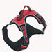 Reflective Harness With Sturdy Handle & Adjustable Strap