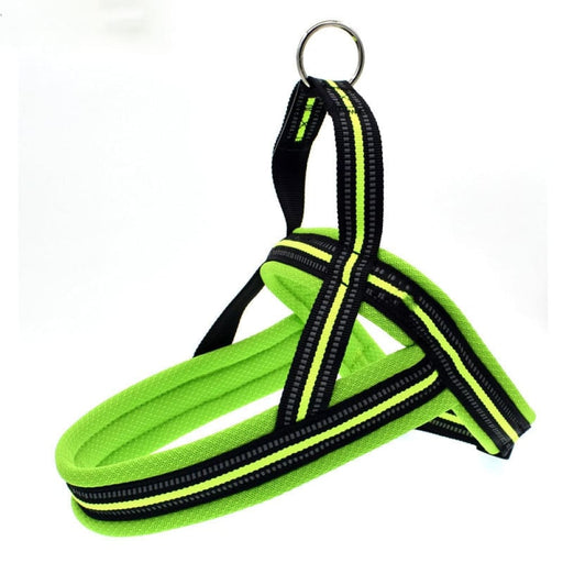 Reflective Soft Mesh Padded Harness With o Ring