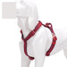 Reflective Sport Padded Breathable Mesh Harness