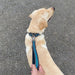 Reflective Step Traction Leash with Mesh Handle