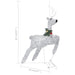 Reindeer & Sleigh Christmas Decoration 100 Leds Outdoor