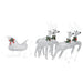 Reindeer & Sleigh Christmas Decoration 100 Leds Outdoor