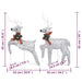 Reindeer & Sleigh Christmas Decoration 140 Leds Outdoor