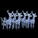 Reindeers & Sleigh Christmas Decoration 320 Leds Acrylic