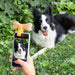 Selfie Clip for Pets Pefie Innovagoods