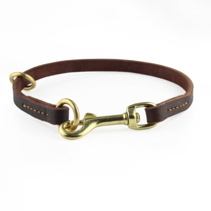 P Shape Copper Hook Short Leash
