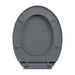 Soft-close Toilet Seat Grey Oval Oapnol