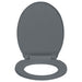 Soft - close Toilet Seat Grey Oval Oapnol