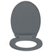 Soft-close Toilet Seat Grey Oval Oapnol