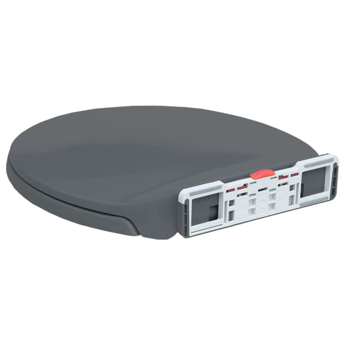 Soft-close Toilet Seat Quick Release Grey Oval Oapnoi