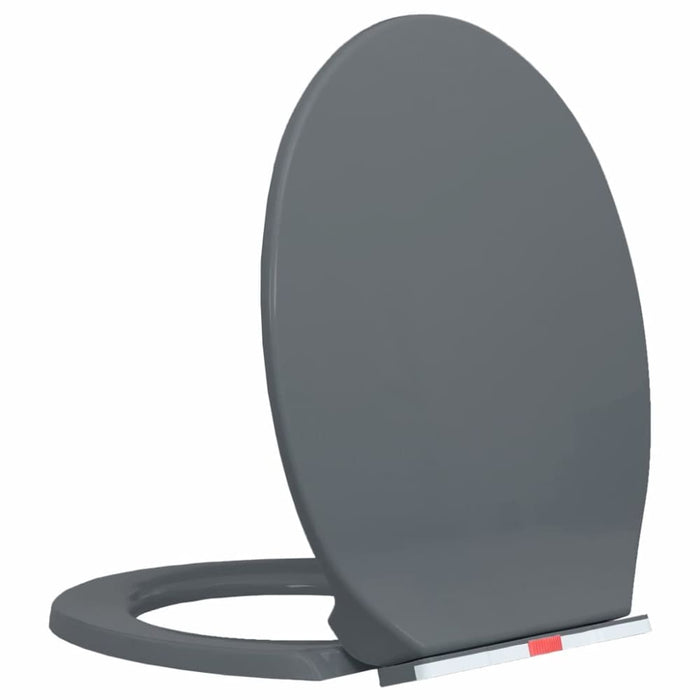 Soft-close Toilet Seat Quick Release Grey Oval Oapnoi